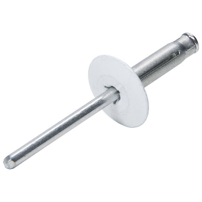 Lg Hd Rivet 250Pk White Flange Type Alum Mandrel ALL18061 - 616 Auto Parts