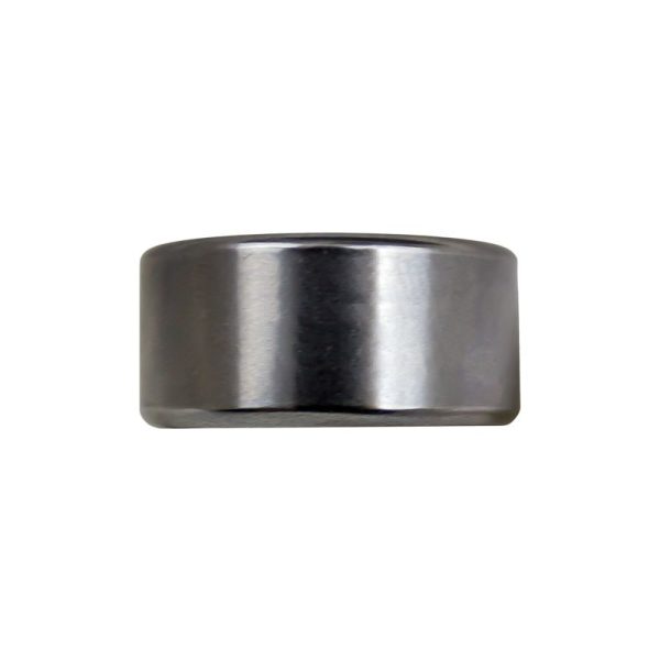 ACT Pilot Bearing