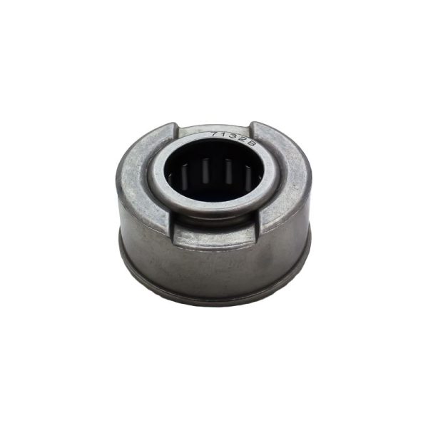 ACT Pilot Bearing